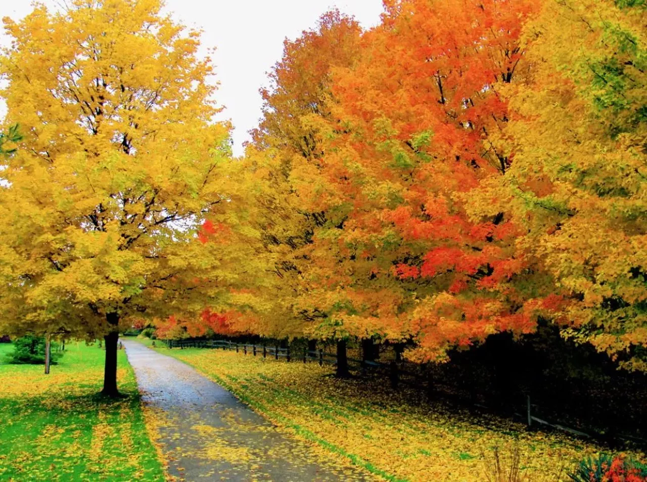 Grandville Head over to a park in this Grand Rapids suburb for delicious fall colors and sparkling ponds.