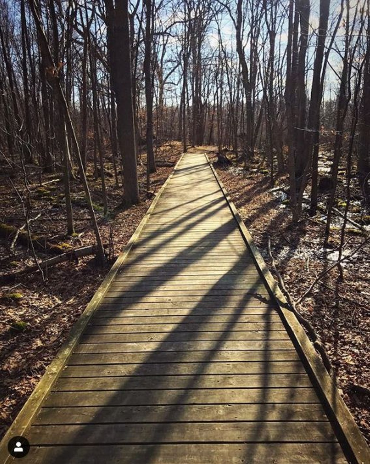 Bog Trail
Waterloo, Chelsea
One of five trails of Waterloo Recreation Area, the Bog Trail makes for the most unique hike. At 1.5 miles in length, the Bog Trail leads hikers to a floating bog in Cedar Lake.
Photo via Instagram user @peterschriemer
