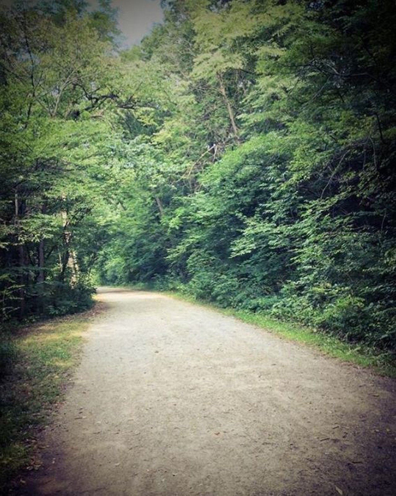 Nichols Arboretum Trails
Ann Arbor
There are two trails at Nichols Arboretum, both of which offer their own experience. The first is the informative Clean Water Trail, which passes by the Huron River and has signs detailing how water gets polluted and how it is prevented at the Arboretum. The Laurel Ridge Trail is populated by beautiful and carefully-preserved flowers, shrubs, and trees.
Photo via Instagram user @nvg_pix