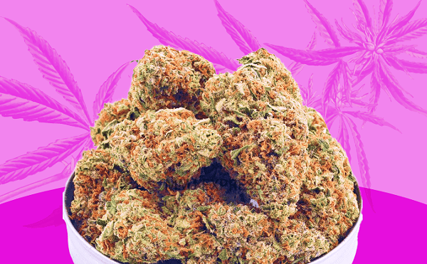 Strongest Weed Strains - 12 Highest THC Strains to Grow