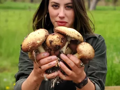 Image: Tess Burzynski spreads spores in Detroit at Fungi Freights farms