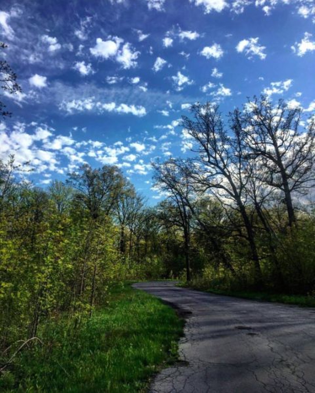 Belle Isle
The six mile road that follows the perimeter of the island is another beautiful and peaceful place for a run. On this route you will be able to see much of what the island offers in addition to iconic waterfront views of downtown Detroit, Windsor and the Detroit River.
Photo via IG user @belleislestatepark