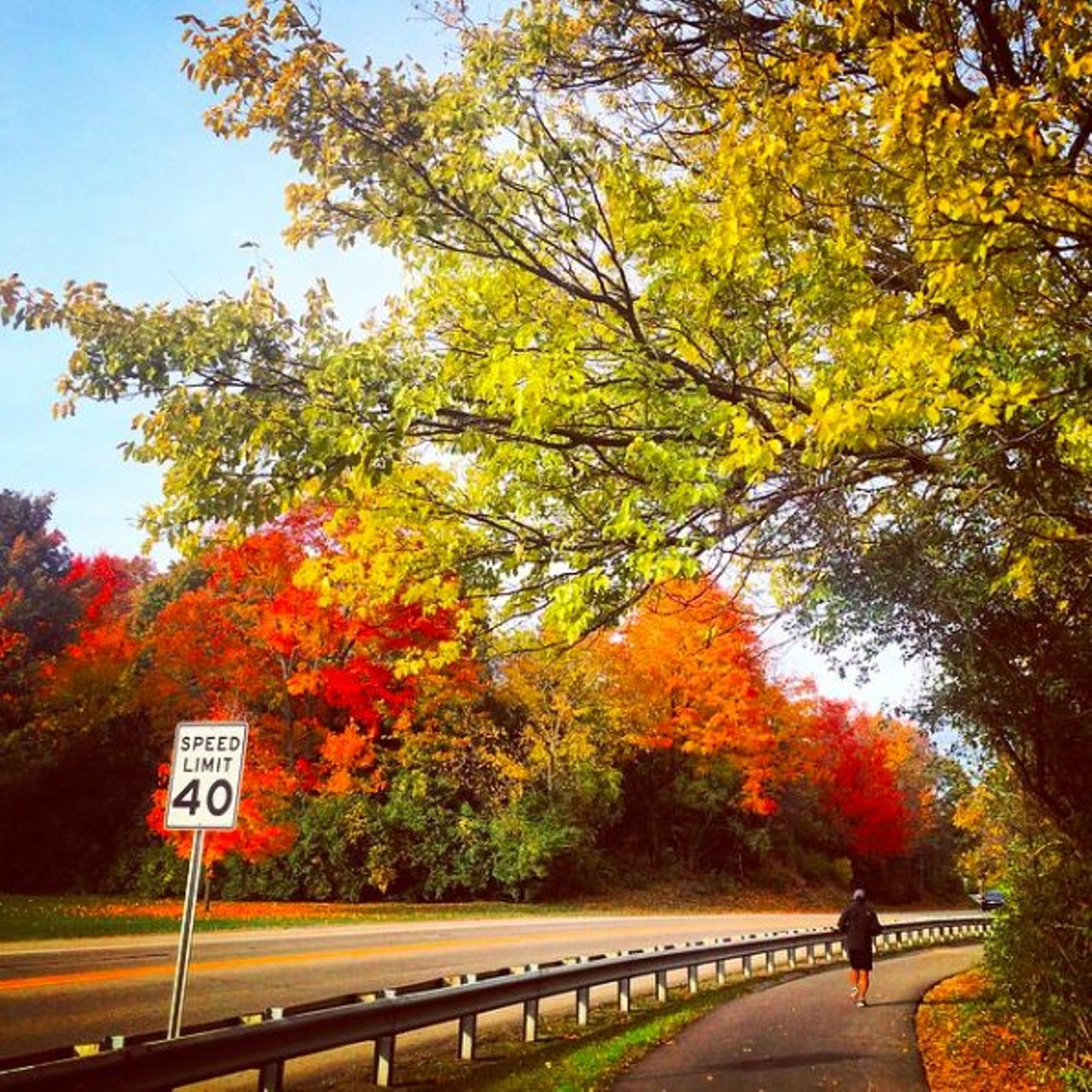 Hines Drive
If you are looking for a more hilly run, you&#146;ve come to the right place. From Dearborn to Northville, this paved trail stretches 17 beautiful miles along a tree lined road full of rolling hills sure to give you an intense workout. This trail is even more scenic in the fall when the leaves change colors.
Photo via IG user @kathygarfield
