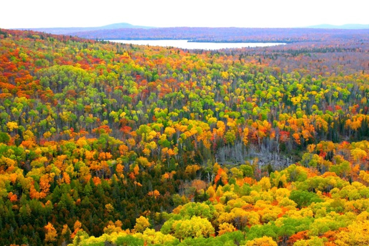 Yeah these fall colors are nice, but have you been to the Upper Peninsula?
Photo via Shutterstock