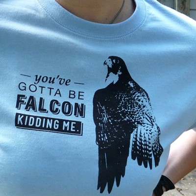 Falcon Kidding Me by Sarah Zagcki  click here to read the studio visit