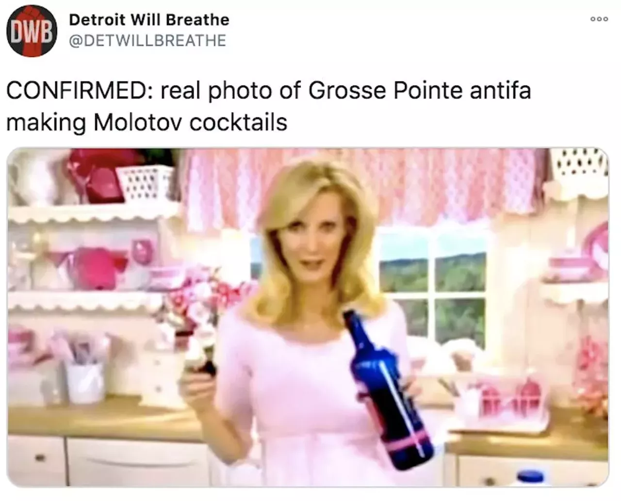 Image: The best Twitter reactions to 'Grosse Pointe Antifa'
