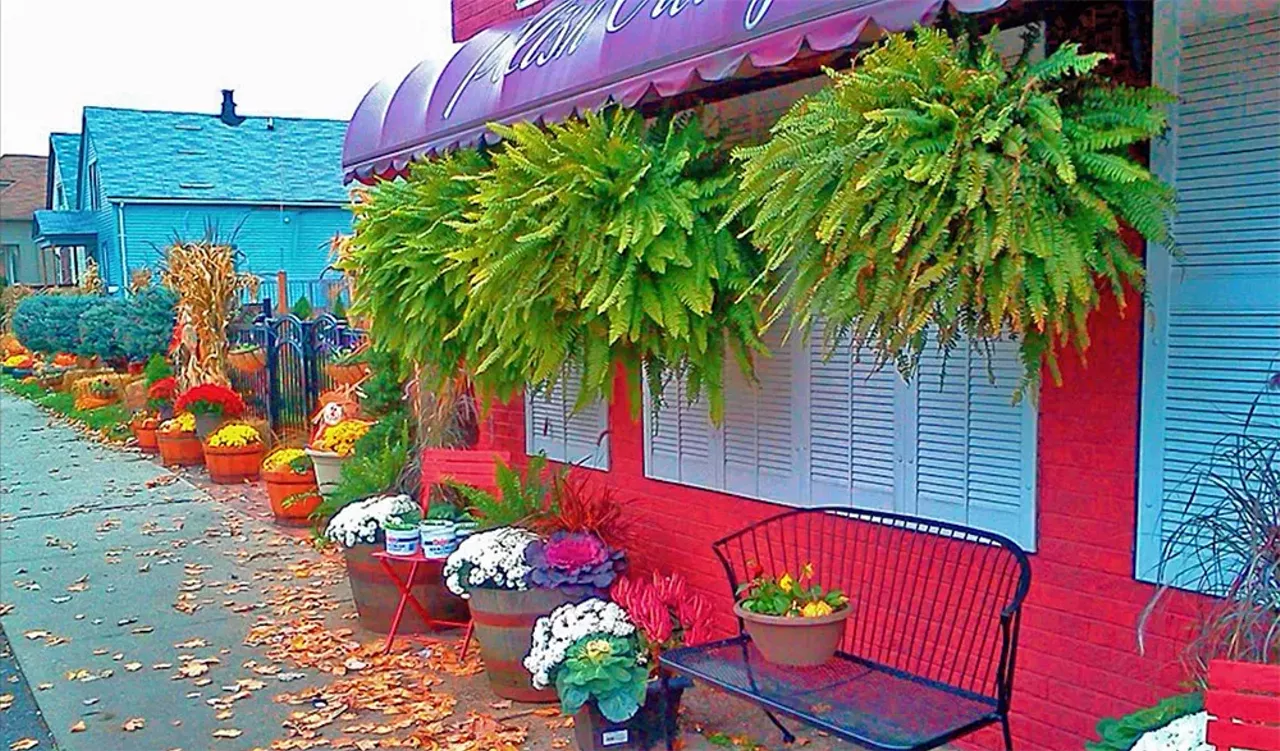 Best Polish Polish Village Cafe 2990 Yemans St., Hamtramck; 313-874-5726 polishvillagecafe.us.com Photo from Polish Village Cafe / Facebook