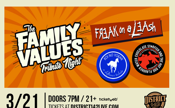 Image: THE FAMILY VALUES - Nu Metal Tribute