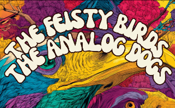 Image: The Feisty Birds, The Analog Dogs