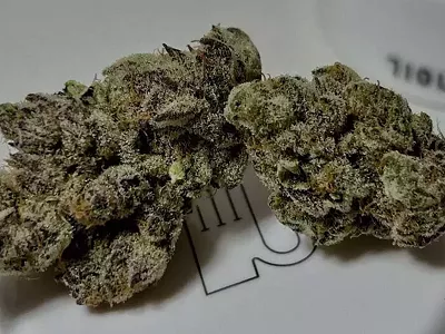 Image: The future of Michigan cannabis depends on what you buy