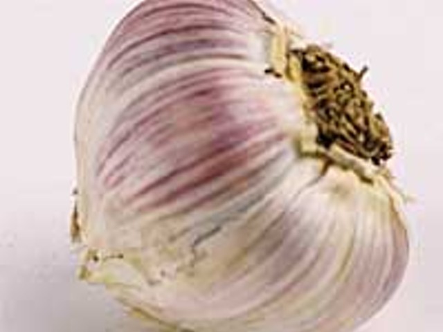 The goods on garlic