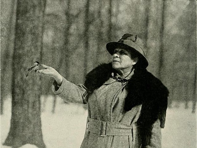 A photo from 1920 of Etta S. Wilson holding a chickadee.