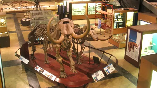 Image: The mastodon is one step closer to becoming U.S. first-ever national fossil (2)