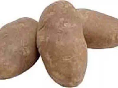 Image: The only proper french fry