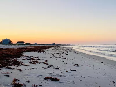Image: The Top Things to Experience on Quiet Dauphin Island in Alabama