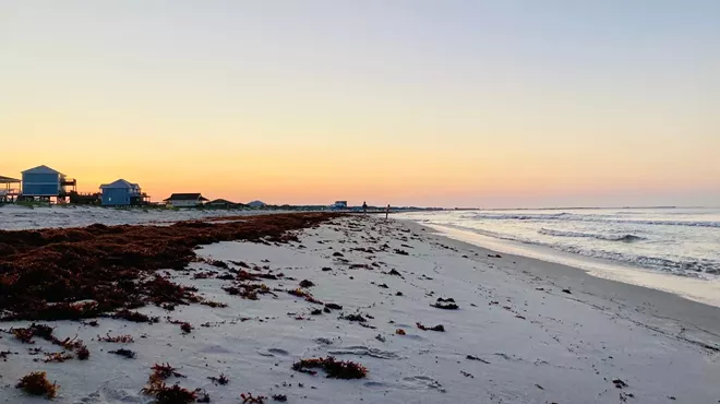 Image: The Top Things to Experience on Quiet Dauphin Island in Alabama