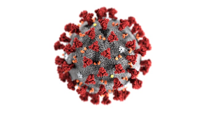A visualization of the coronavirus.