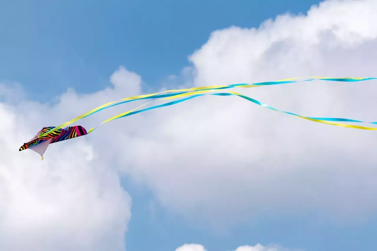 Image: There were smiles for miles at the second annual Detroit Kite Festival