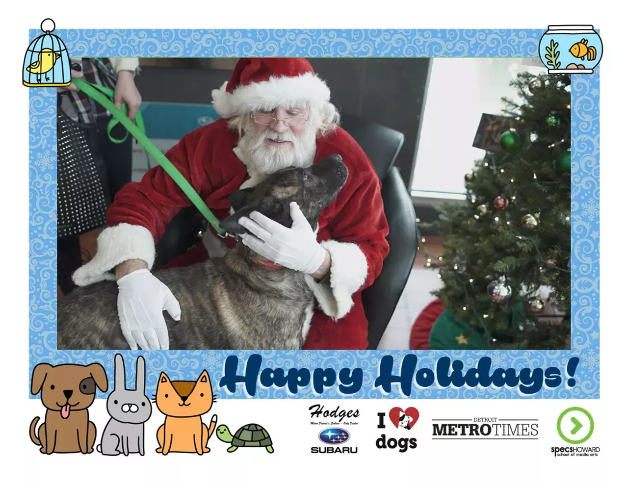 Image: These pets got their photos taken with Santa and the results are adorable