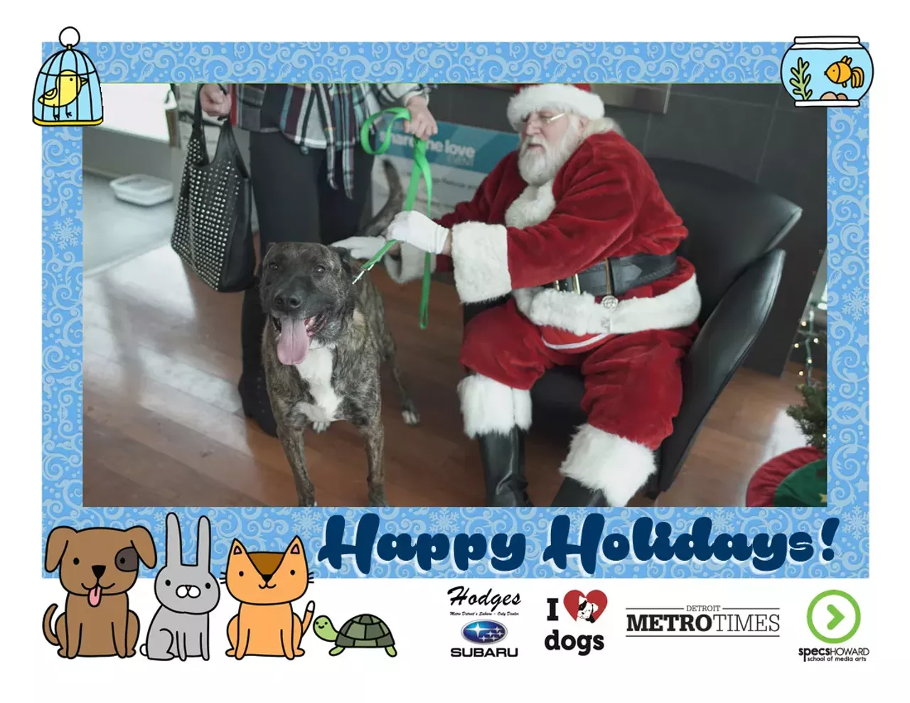 Image: These pets got their photos taken with Santa and the results are adorable
