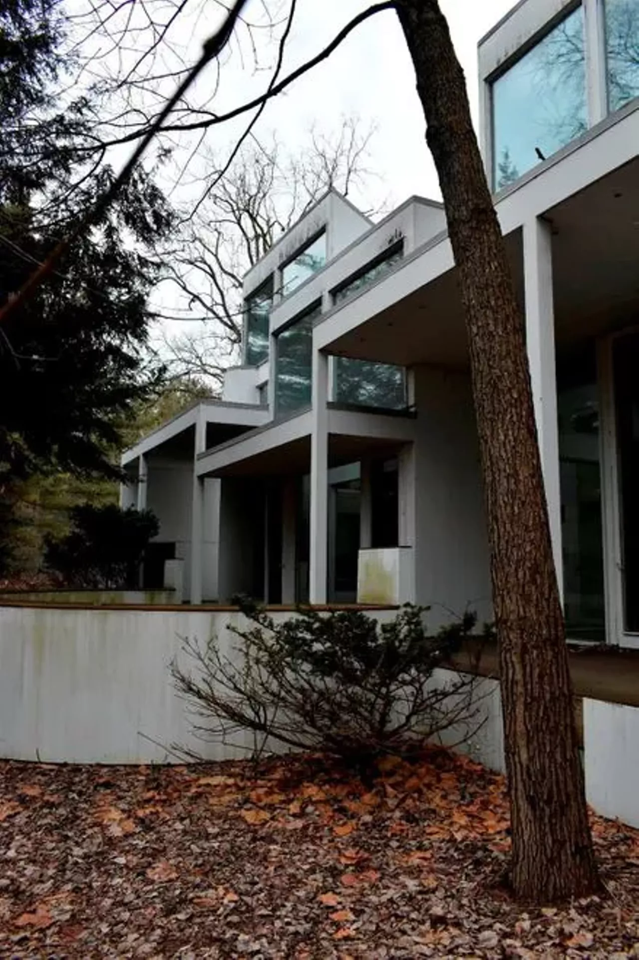 Image: This architecturally significant home in Ann Arbor needs some love or a Patrick Bateman &#151;&nbsp;and it's just been reduced by $50k