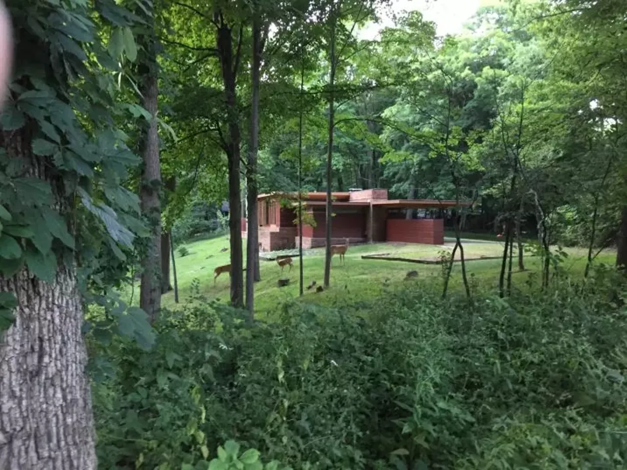 Image: This fully restored Frank Lloyd Wright house in Okemos is for sale for just $479k &#151;&nbsp;and it's full of surprises