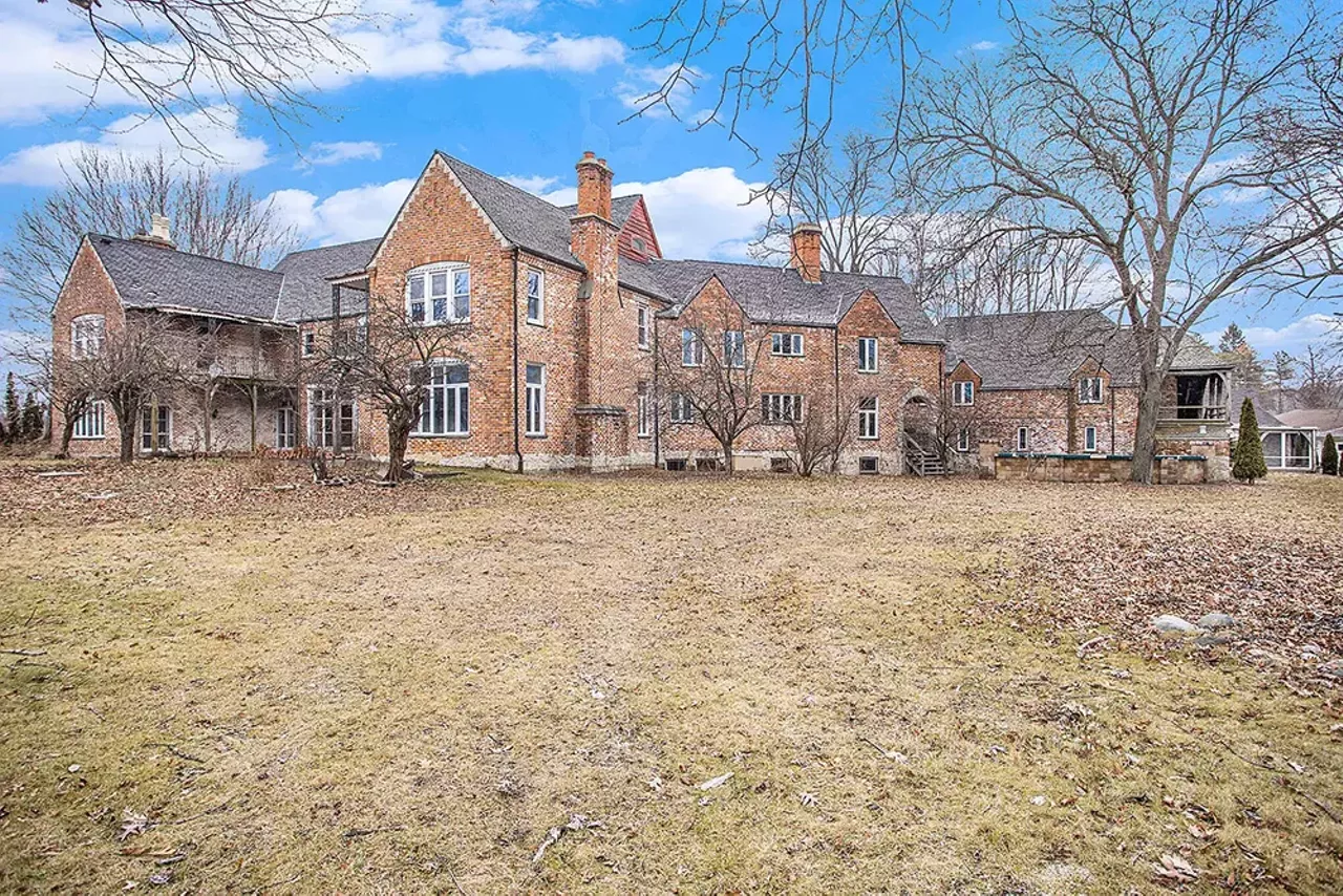 Image: This Michigan mansion listing is a trip [PHOTOS]