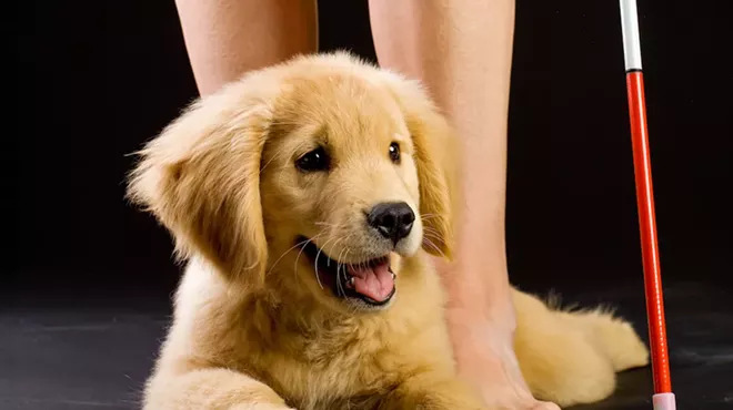 Rochester Hills-based Leader Dogs for the Blind needs puppy raisers.