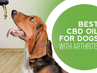 Image: Top 6 Best CBD Oil for Dogs with Arthritis in 2024 (4)