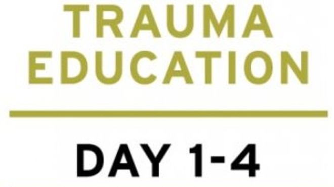 Treating PTSD + Complex Trauma with Dr Leah Giarratano 2-3 + 9-10 May 2024 Livestream - Michigan US