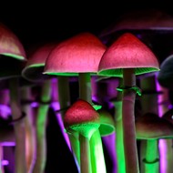 U of M Medical School to host first Psychedelic Symposium