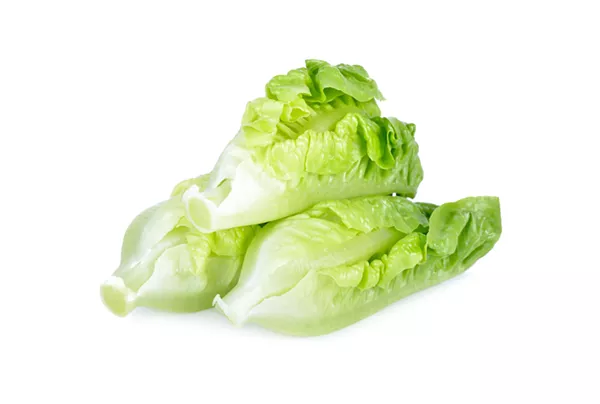 Another Michigander sickened by romaine lettuce E. Coli outbreak