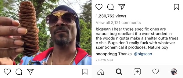 Anyway here's Big Sean giving Snoop Dogg advice about pine cones