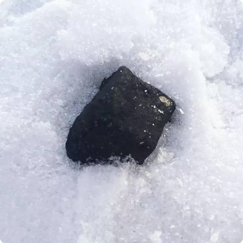 That meteor from January left behind clues to help scientists find more like it