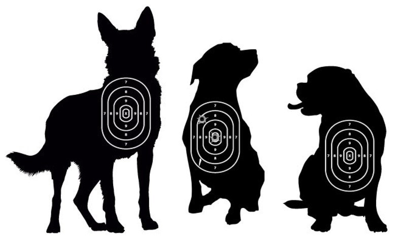 City of Detroit argues police officers have the right to kill unlicensed dogs