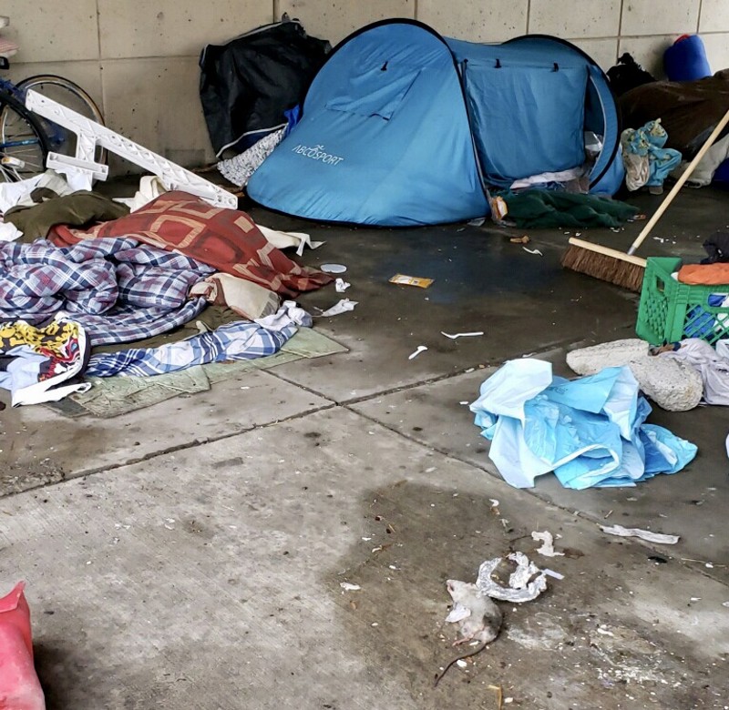 A dead rat is among the belongings in a homeless camping spot under an overpass. - Courtesy of city of Detroit