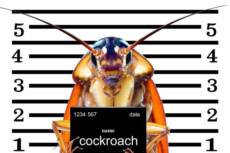 Detroit man shoots himself in the foot attempting to kill cockroach