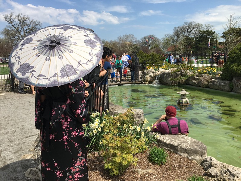 Koi Festival returns to Belle Isle with free celebration of Japanese culture