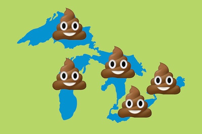 Report: Poop may make Michigan beaches unsafe for swimmers