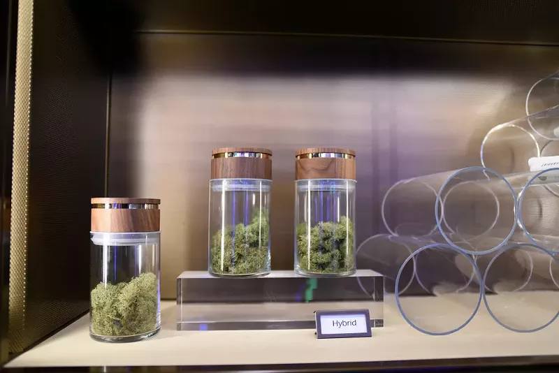 Commercial Cannabis Conference & Expo to connect marijuana businesses at Detroit's TCF Center