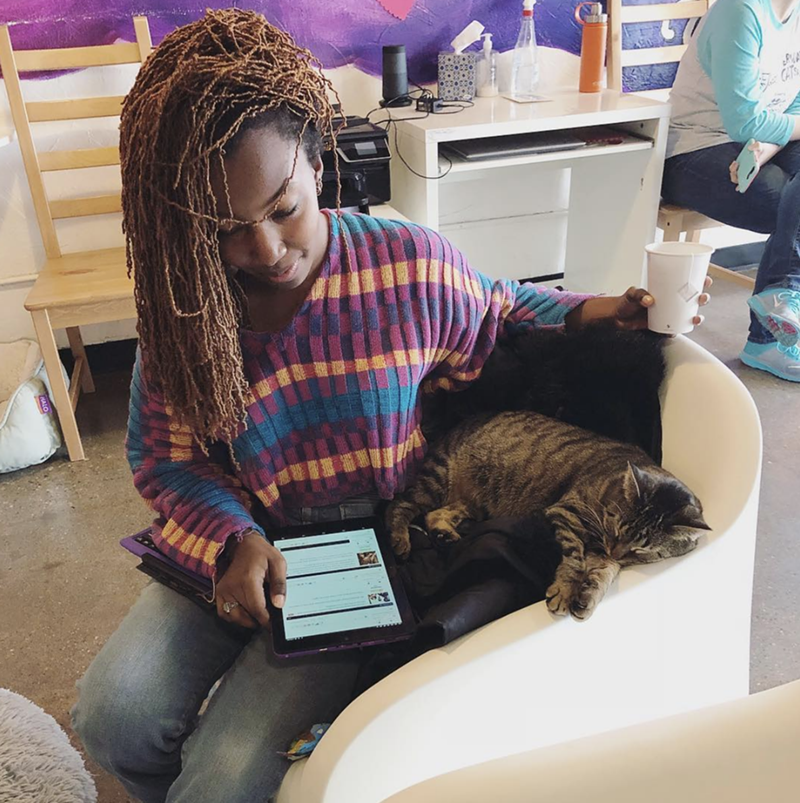 Looks like somebody found their furever home. - Ferndale Catfé Lounge/Instagram