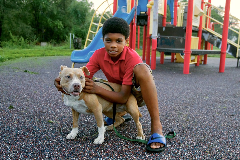 A boy plays with a bully breed dog at a park. - Steve Neavling