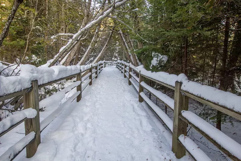 Michigan state parks are free to enter on Black Friday