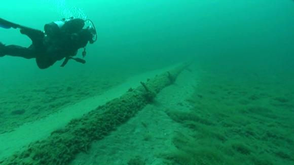 In 2013, the NWF sent divers to look at the straits pipelines, who found wide spans of unsupported structures, encrusted with exotic zebra mussels and quagga mussels. - NATIONAL WILDLIFE FEDERATION