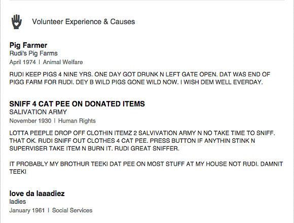 This cat's LinkedIn profile is absolutely better than yours