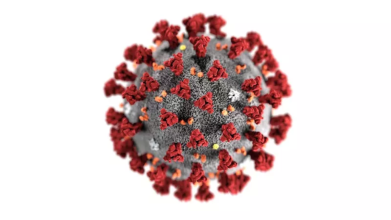 Michigan could see more than 4,000 coronavirus deaths, according to study