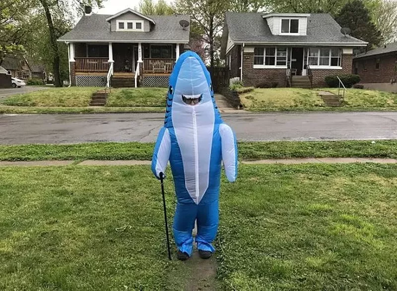 A portrait of the author as a cool shark. - Anjeliqa Pratt