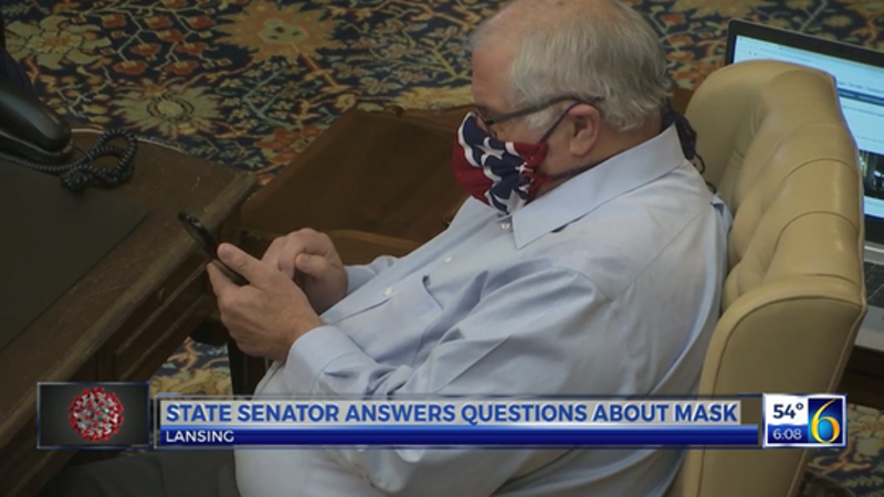 Michigan state senator wore Confederate flag face mask to session over Whitmer's emergency orders