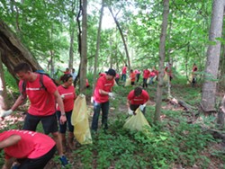 Quicken Loans volunteers pull 103 bags of garlic mustard at last year's Rouge Rescue. - Photo via Friends of the Rouge Facebook page.