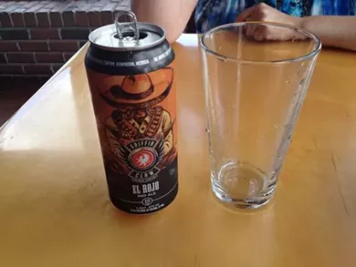 20 Michigan craft brews to start your summer right (ranked)